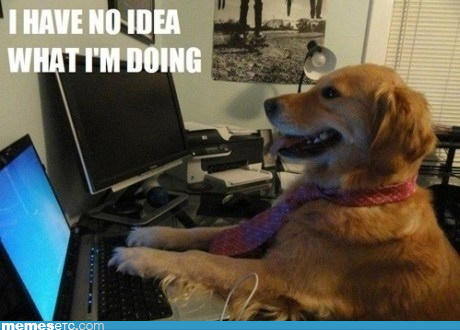 dog-meme-no-idea